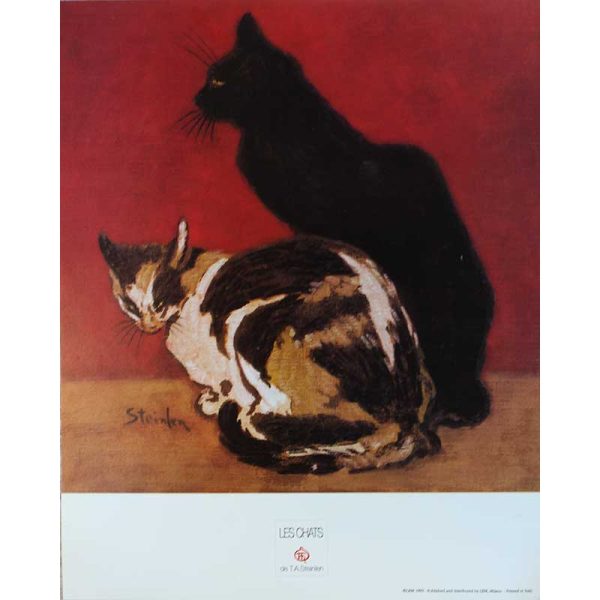 les-chats-de-t-web